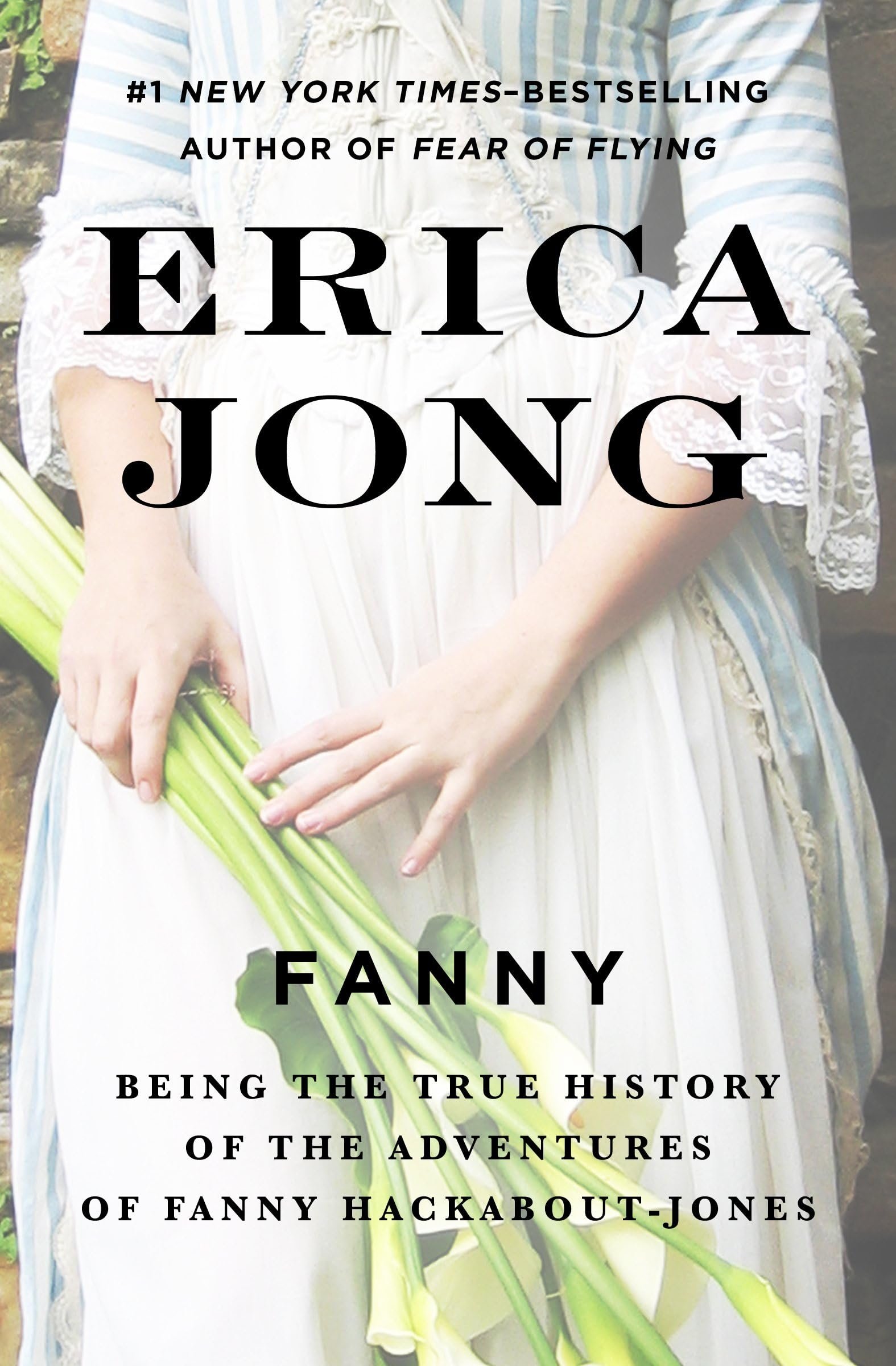 Fanny: Being the True History of the Adventures of Fanny Hackabout-Jones Cover